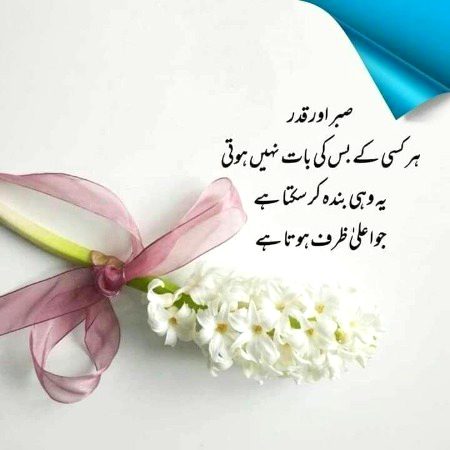 Motivational Quotes image