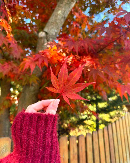 *مدت کے بعد اس نے پوچھا، کہاں رہتے ہو ❤🩹🥹*
*ہم نے مسکرا کے کہا، تمھاری تلاش میں ۔۔۔💔😭*