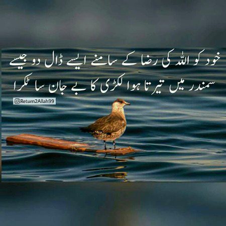 Islamic Quotes image