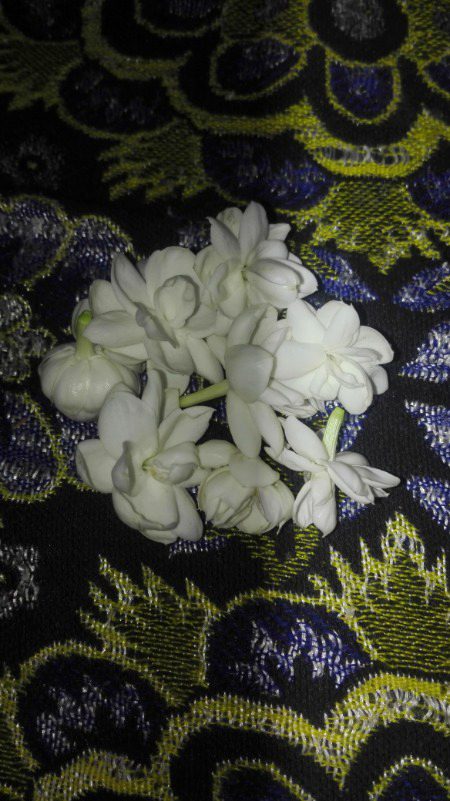 Beautiful Nature image