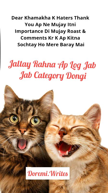 Damadam Roasting image