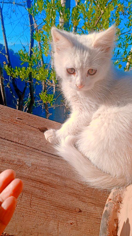 Beautiful Nature image