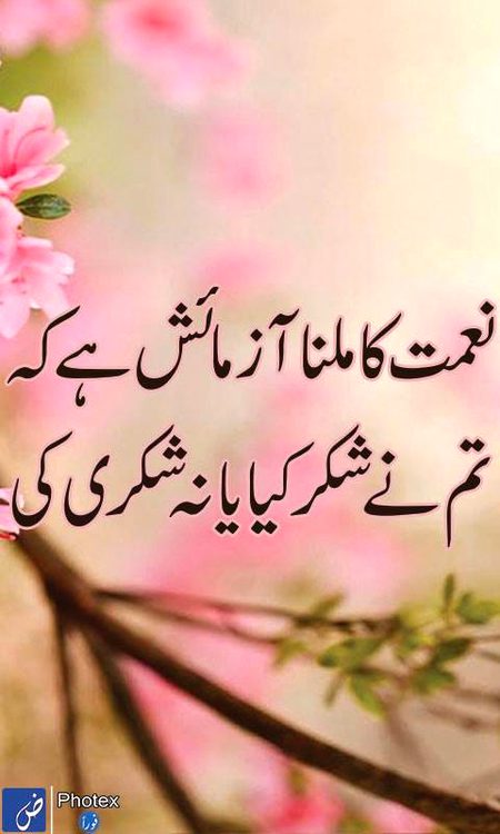 Motivational Quotes image