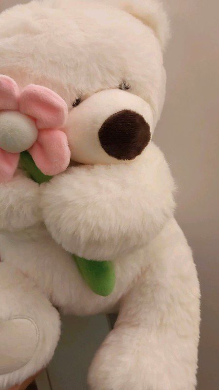 Beautiful Structures image