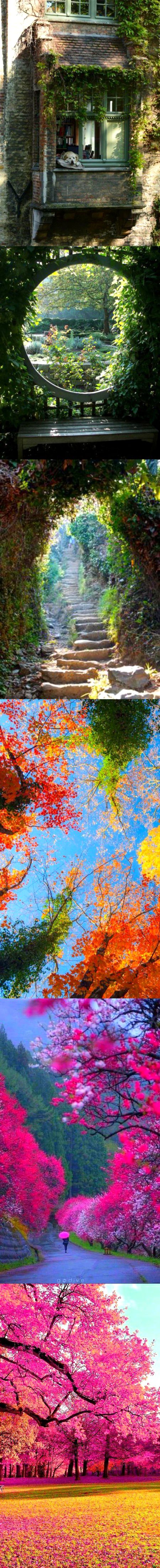 Beautiful Nature image