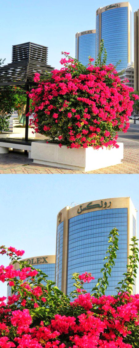 Beautiful Structures image