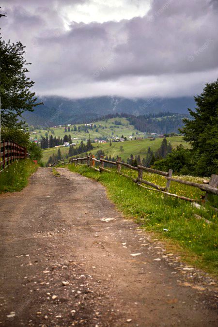 Beautiful Nature image