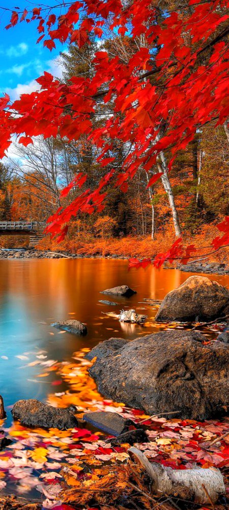 Beautiful Nature image