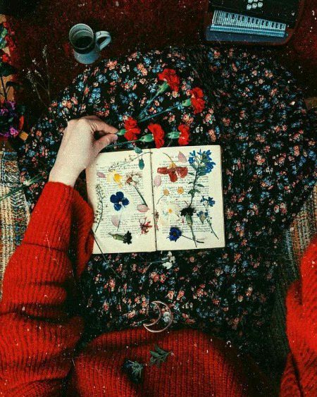 Tumne Toh sirf pholo.ko Dekha Tha Magar Wha To Humne Kante Bhi Toh Dekhe thi.🍁🌹🌻🌼🌷