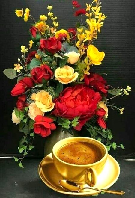 Beautiful Nature image