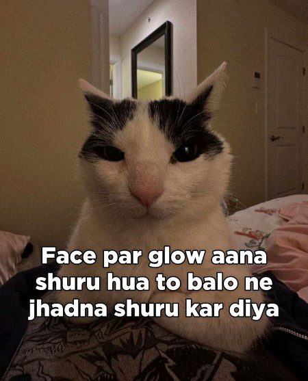 Memes & Satire image