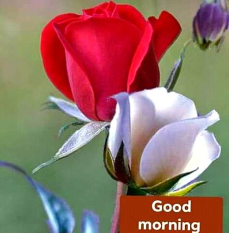 زندگی کو مسکرا کر گزاریں کیونکہ آپ نہیں جانتے کہ یہ کتنی باقی ہے ۔۔
😊😊😊