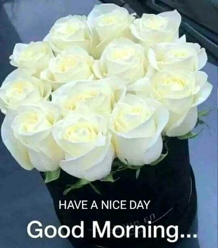 Beautiful Nature image