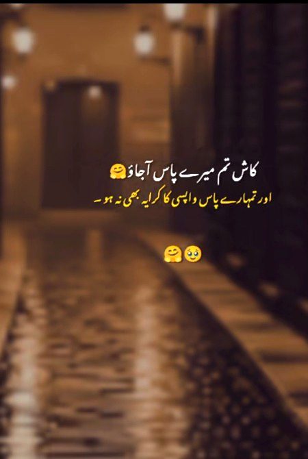 Memes & Satire image