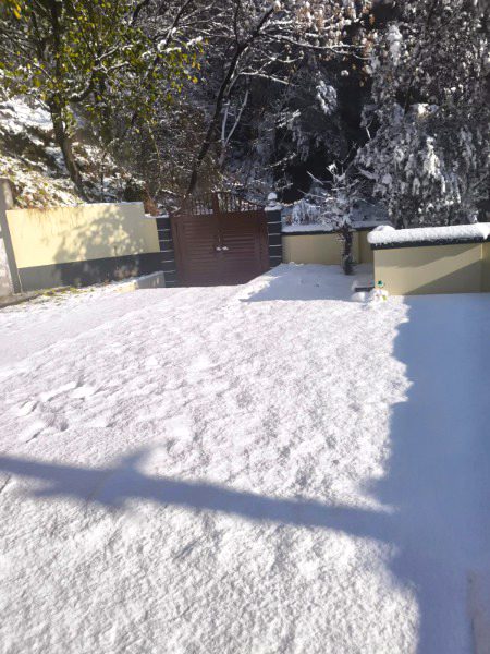 Beautiful Nature image