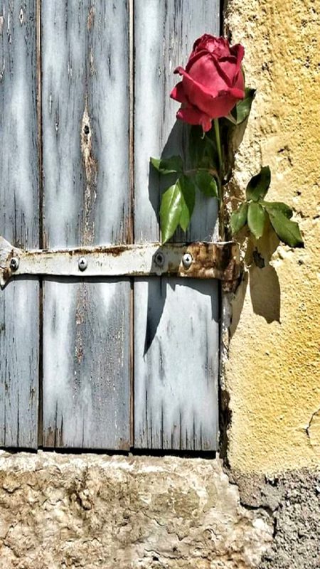 من کی من میں بات رہے تو من کو لاگے روگ، من کھولیں تو مشکل کر دیں جیون اپنے لوگ۔۔!