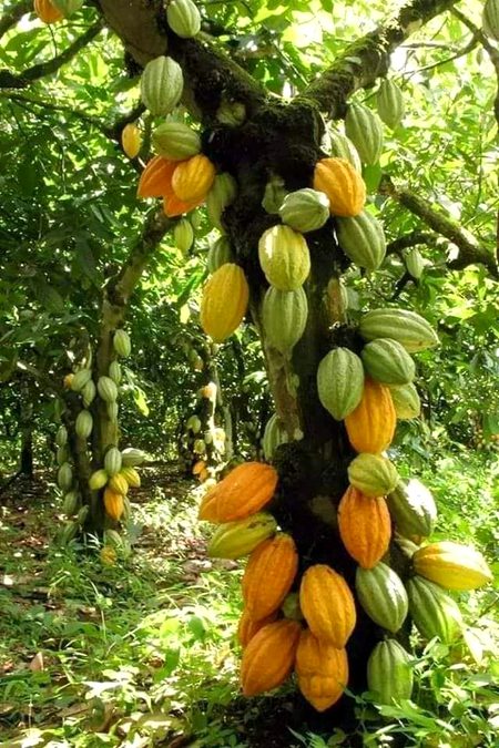 Beautiful Nature image