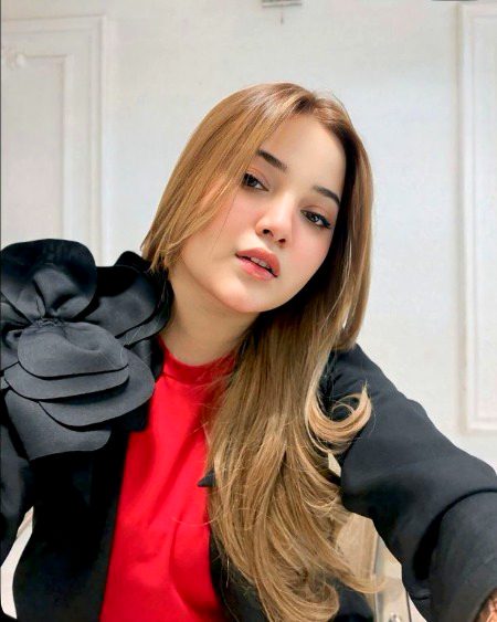 TikTok Stars image