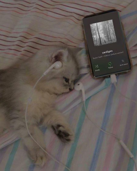 Beautiful Nature image