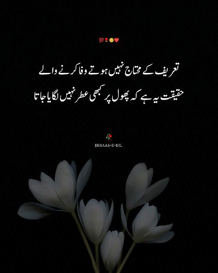 Attitude Quotes image