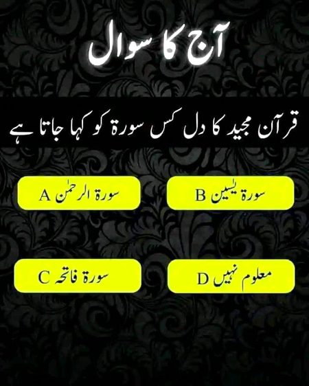 Knowledge Test image