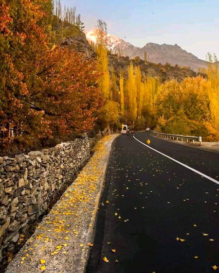 Beautiful Nature image