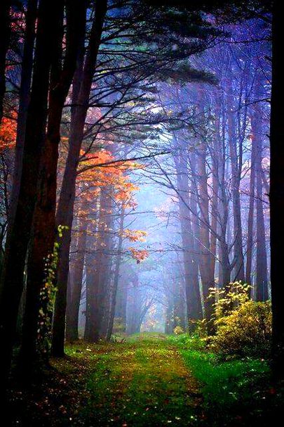 Beautiful Nature image