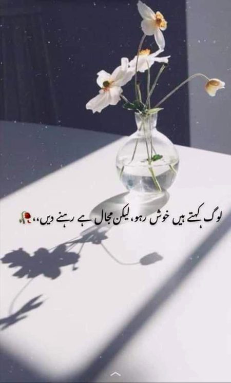 Assalam o alaikum