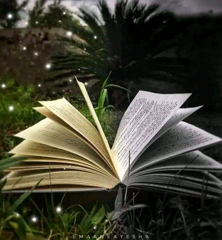 Books readers or rider