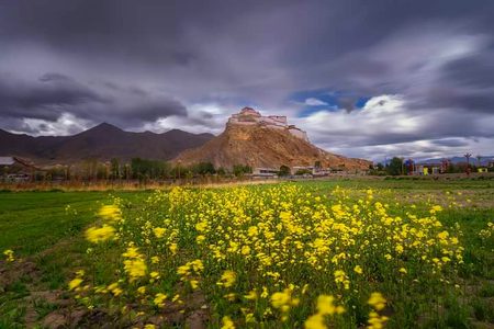 Beautiful Nature image