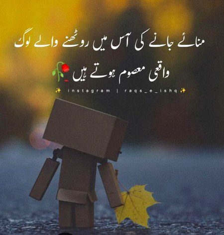 ❤💚💜❤💚💜❤💚💜