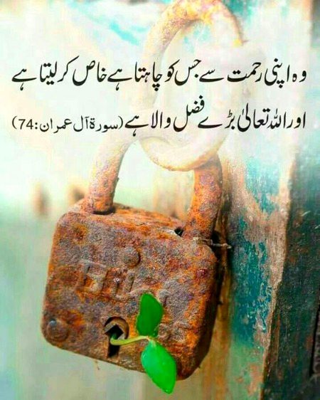 Islamic Quotes image