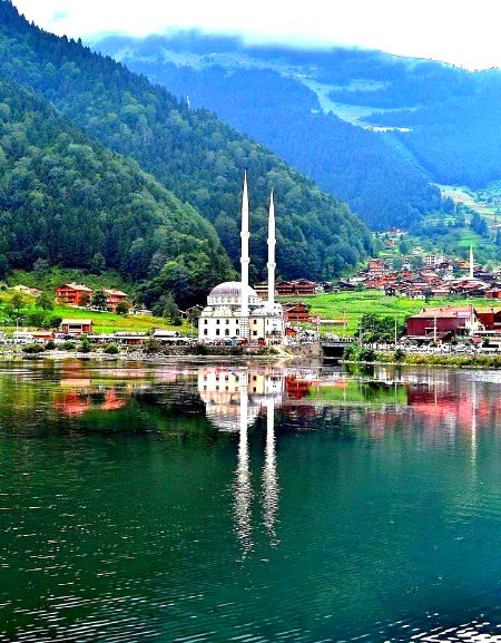 Beautiful Nature image