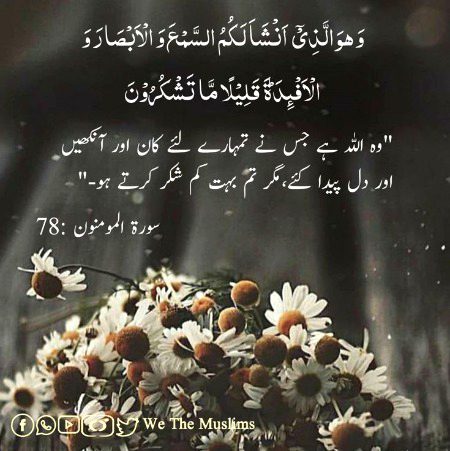 Islamic Quotes image