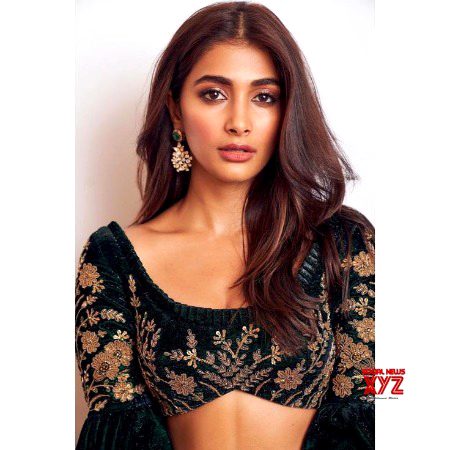 Indian Celebs image