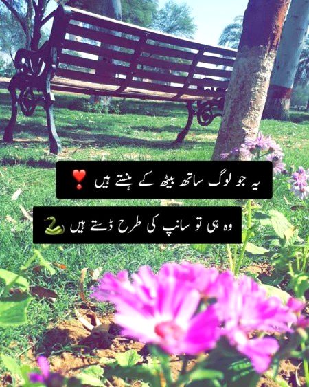 ❤💚💜❤💚💜❤💚💜