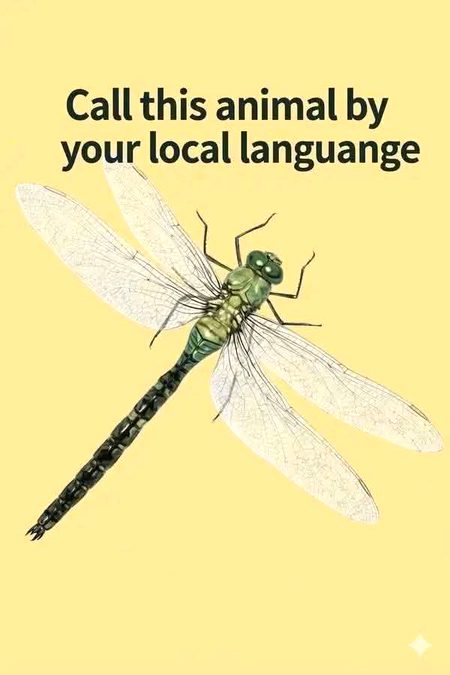 Memes & Satire image