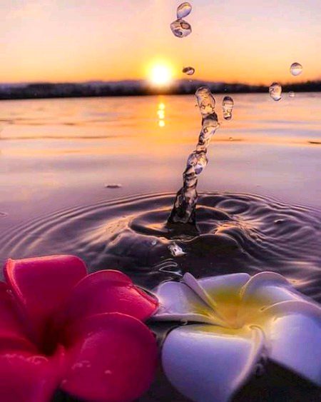 Beautiful Nature image