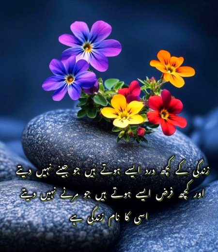 Saanaam ❣️❣️ blkl frz h tm or Dard tmne sb khtm krdy mry