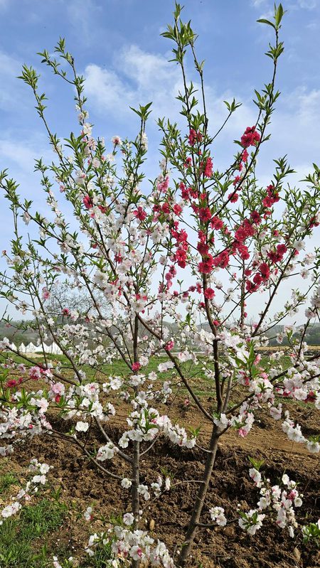 Beautiful Nature image