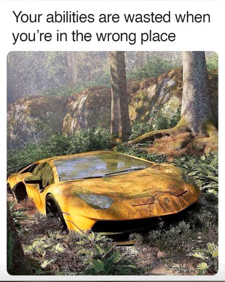 Life Advice image