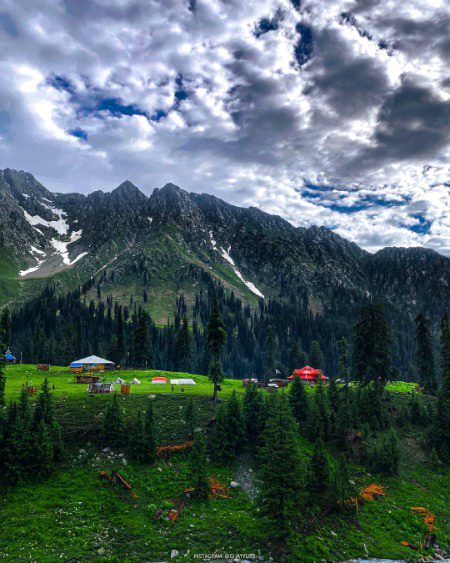 Beautiful Nature image