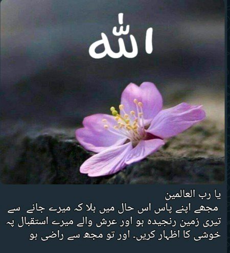 INSHALLAH AAMEEN SUM AAMEEN 🤲🏽
