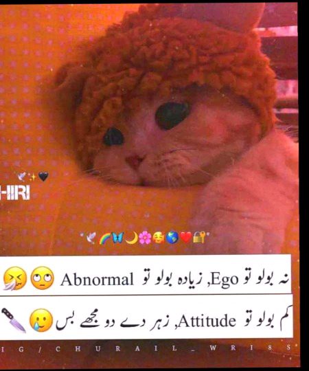 Memes & Satire image