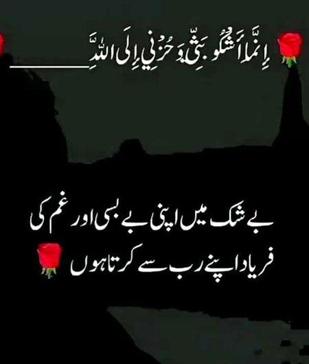 Islamic Quotes image