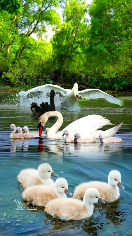 Beautiful Nature image