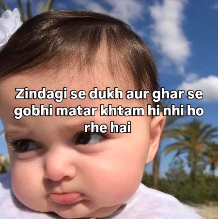 Memes & Satire image