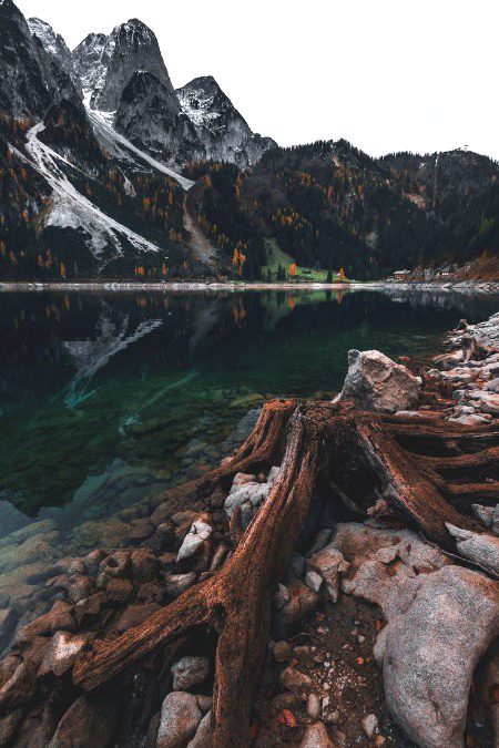 Beautiful Nature image