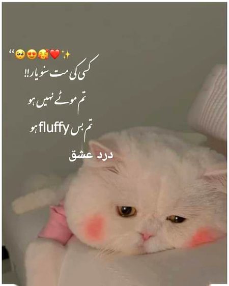 Jokes image