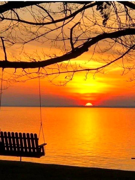 Beautiful Nature image